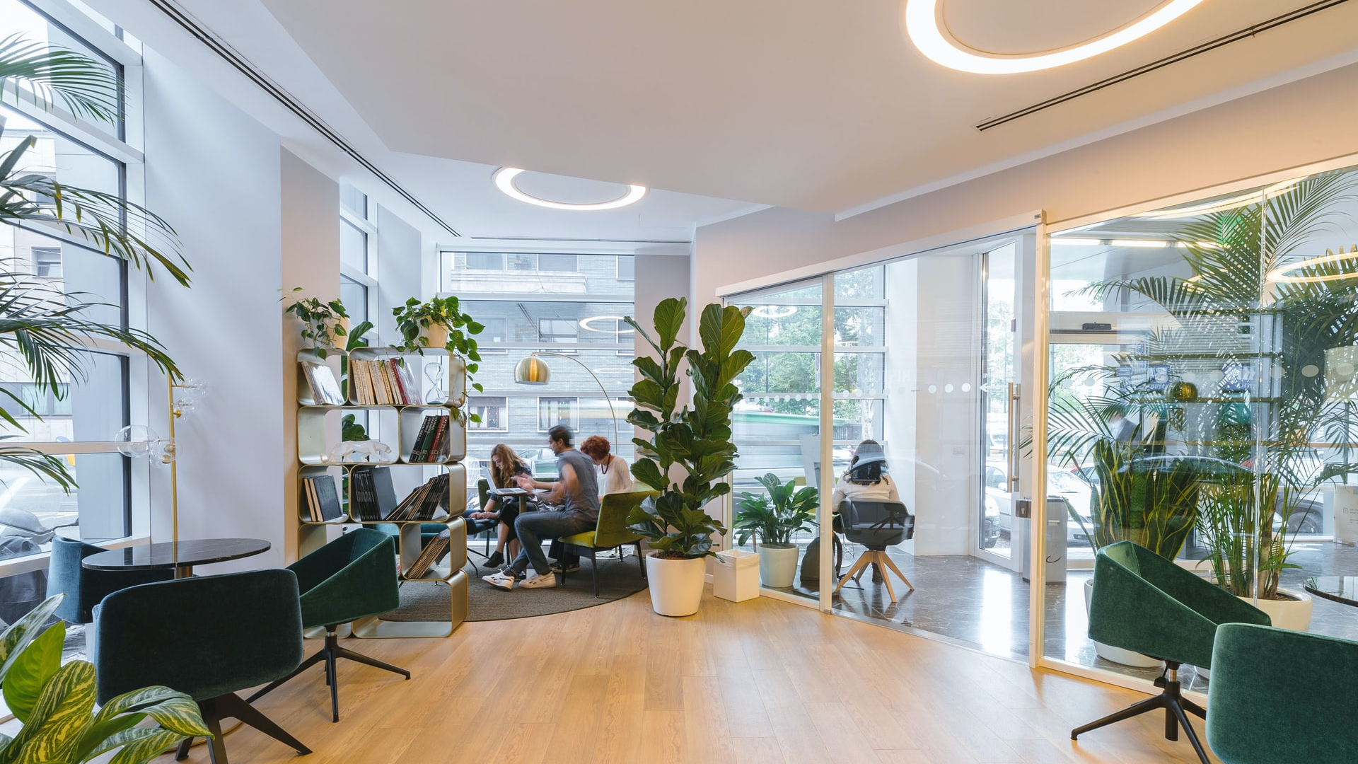 Room with Green Plants & Wooden Floor