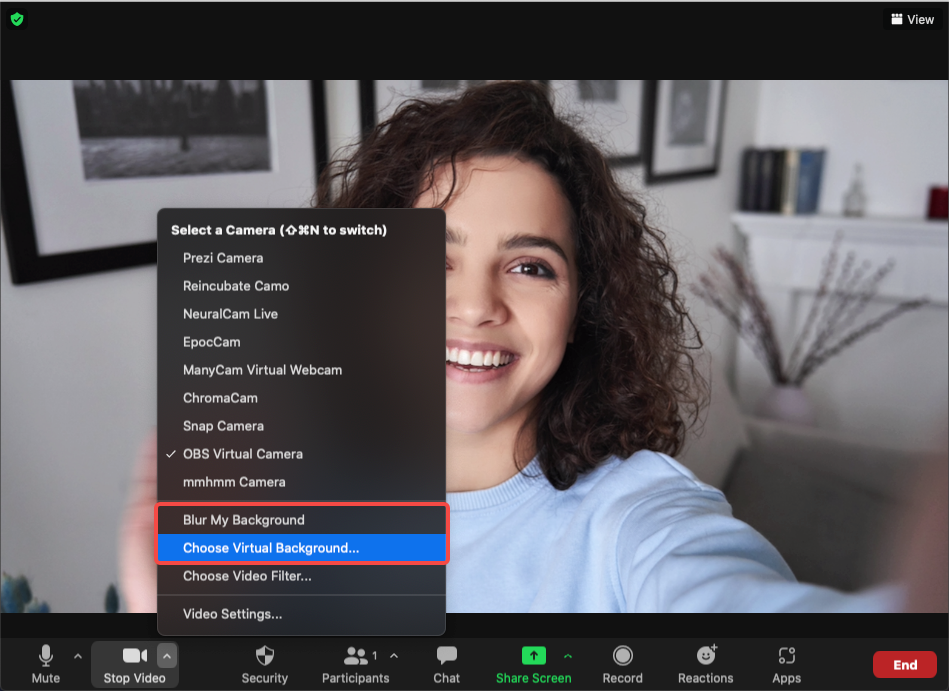 Remove Webcam Background - Zoom