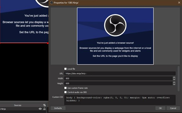 Add Ninja Camera as Browser Source 