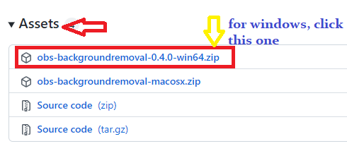Download OBS Background Removal Zip File