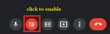 Enable Camera on Google Meet