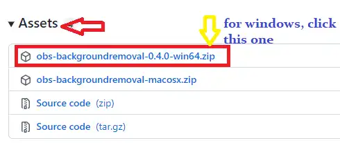 Download OBS Background Removal Zip File for Windows