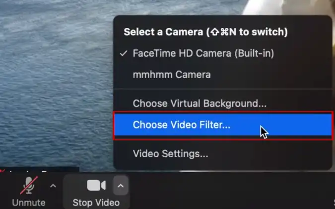 Add Face Filter During Session - Zoom