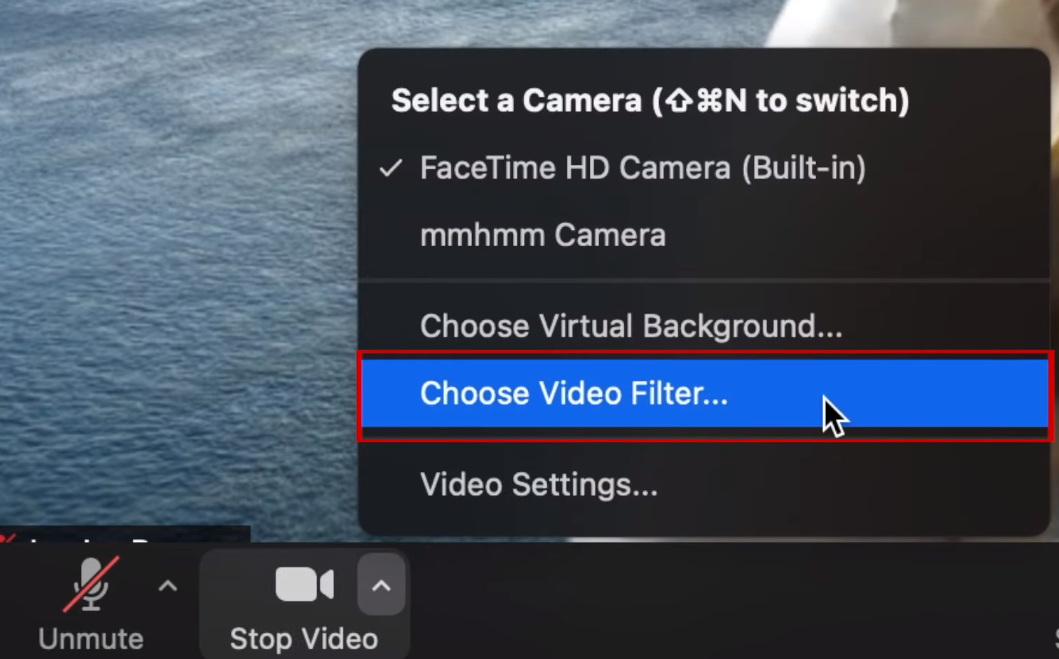 5 Free Methods to Add cam Face Filters on PC/Mac FineShare