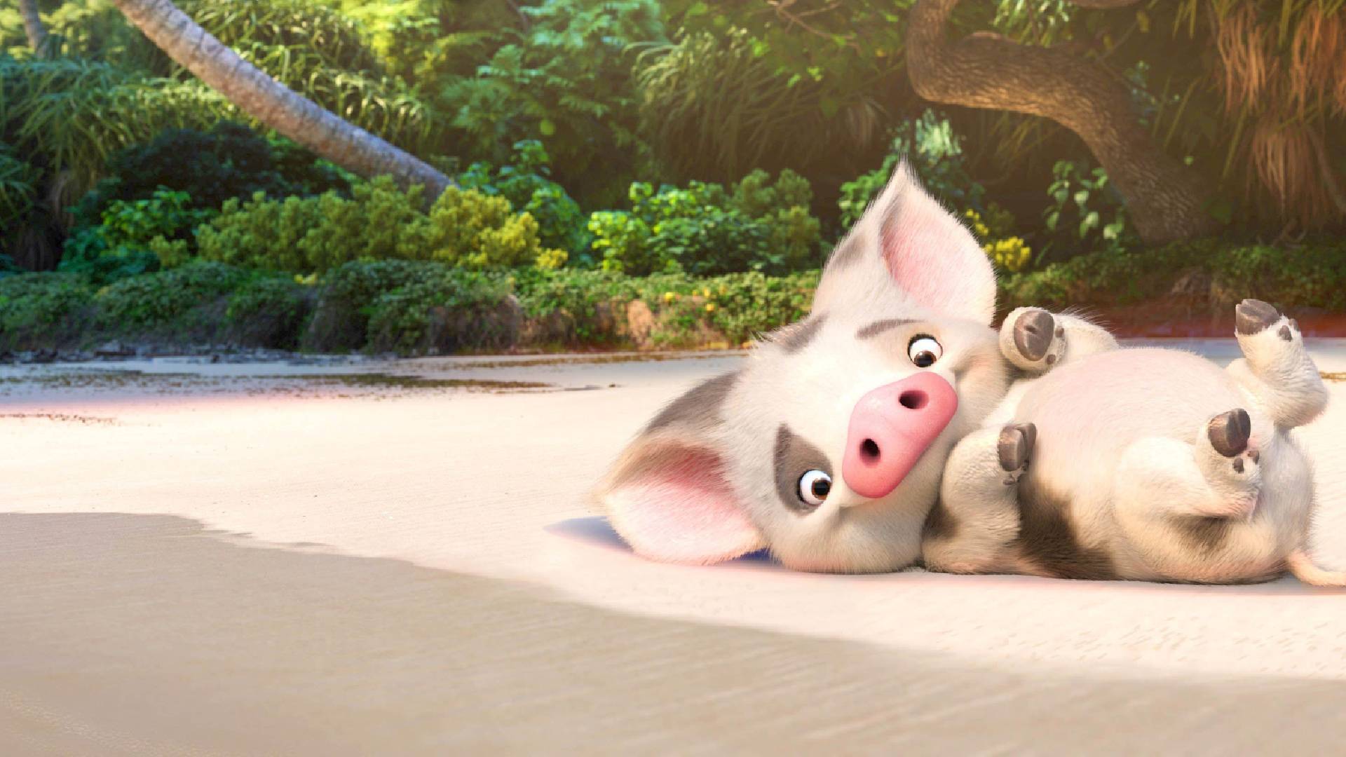 Cute Little Piglet Pua - Zoom Background