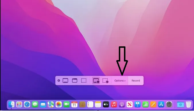 Screen Record Control Bar - Options on Mac