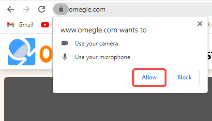 camera and microphone permission