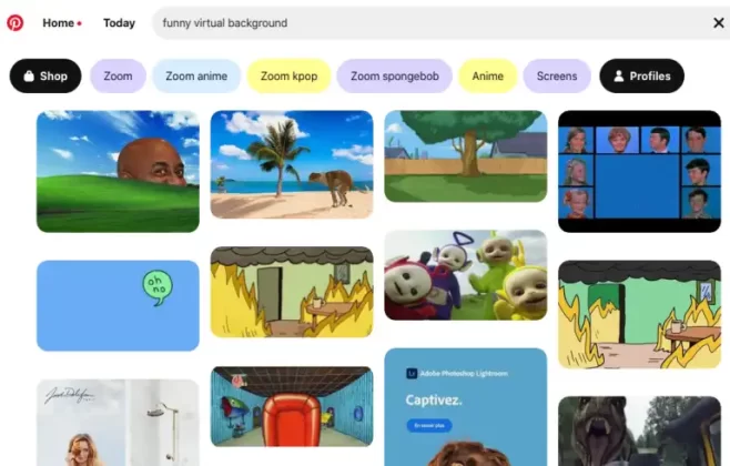 Pinterest Funny Virtual Backgrounds