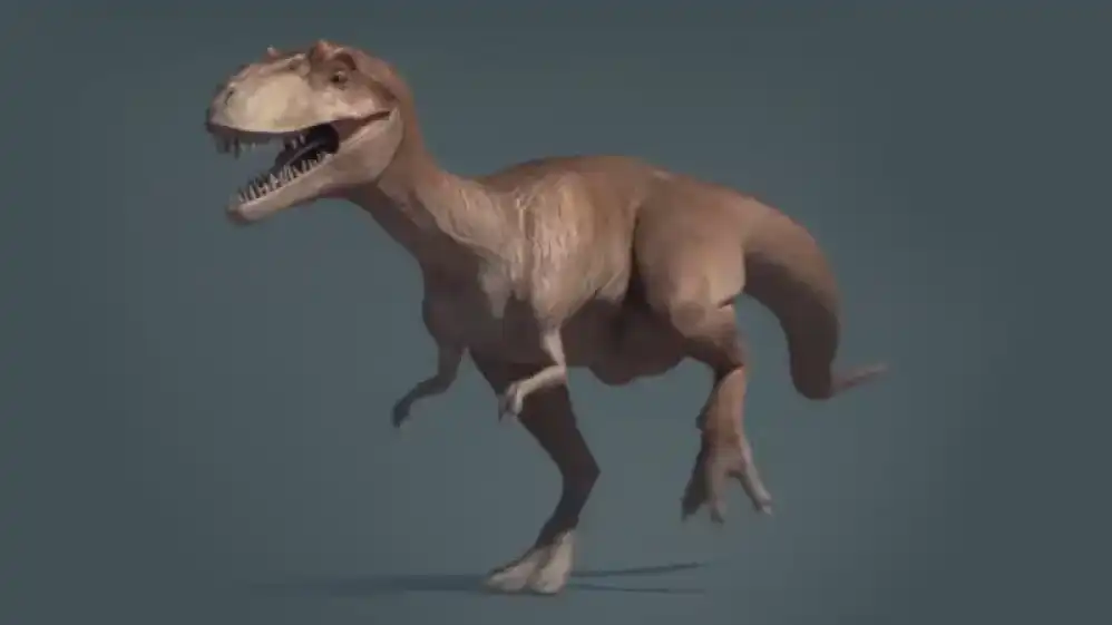 Get 1000+ Funny Virtual Backgrounds from Best Free sites