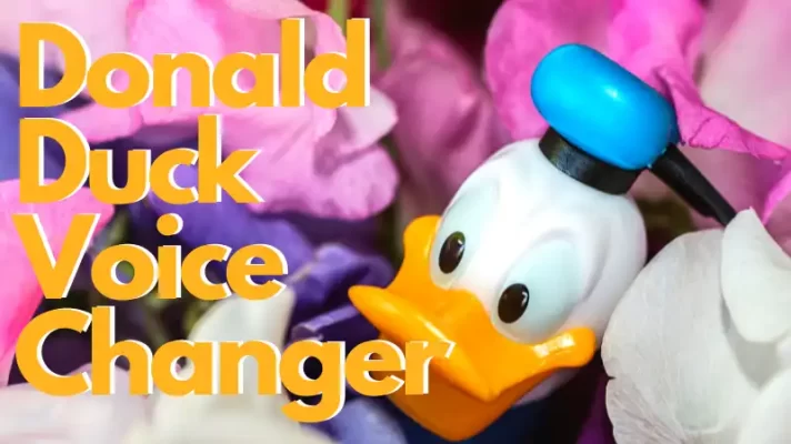 Donald Duck Voice Changer | How to Get Donald Duck Voice