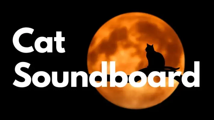Top 8 Cat Soundboards for Cat Lovers on Desktop & Mobile