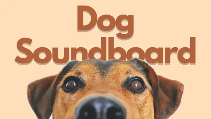 Top 5 Dog Soundboards for Prank and Security 2023