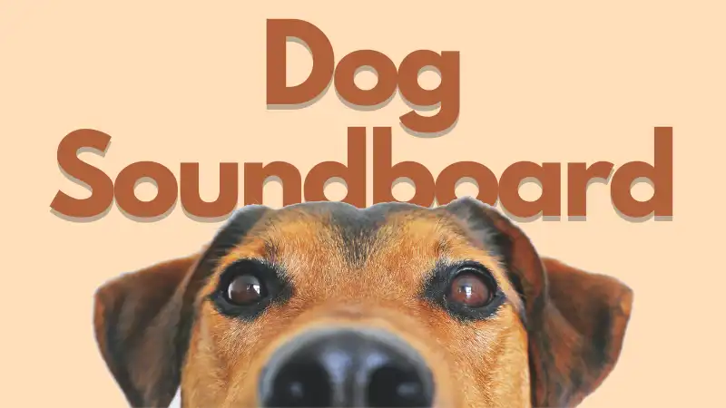 Top 5 Dog Soundboards for Prank and Security 2023 - FineShare