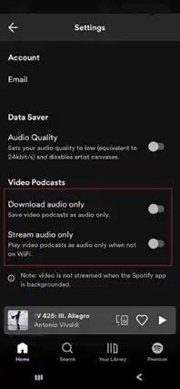 turn off download audio only and stream audio only