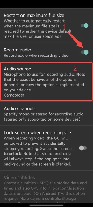 enable audio recording