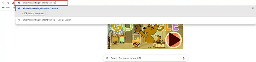  Copy-paste chrome://settings/content/camera into Chrome’s address bar
