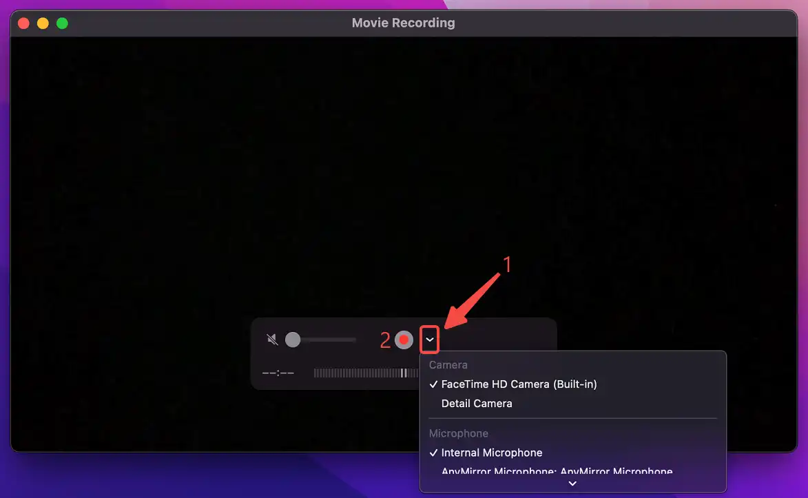 select the camera and microphone devices and start recording