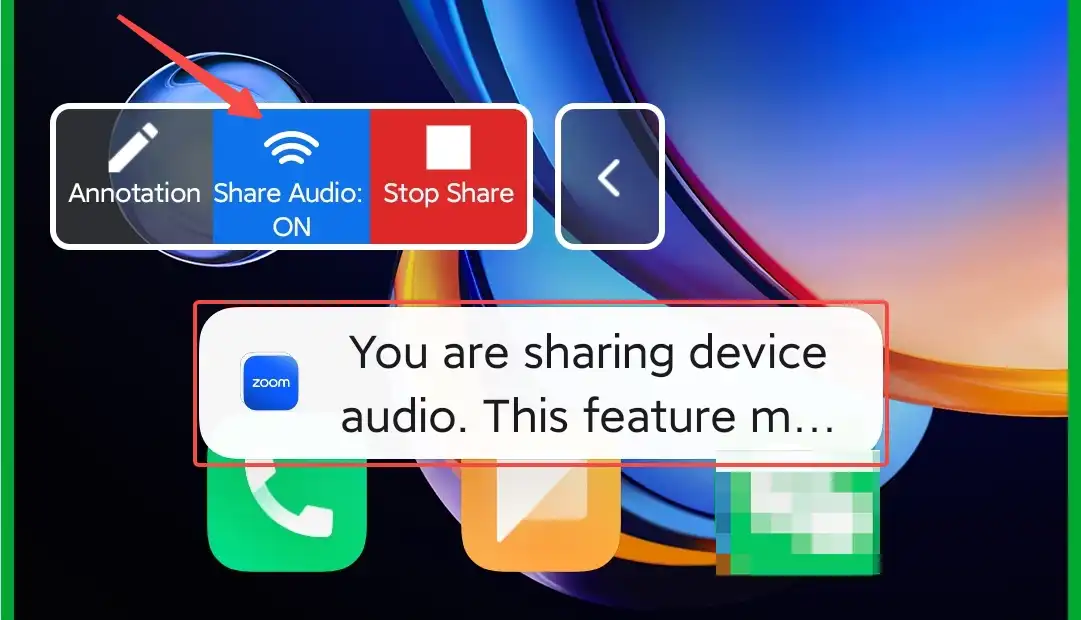 turn on Share Audio