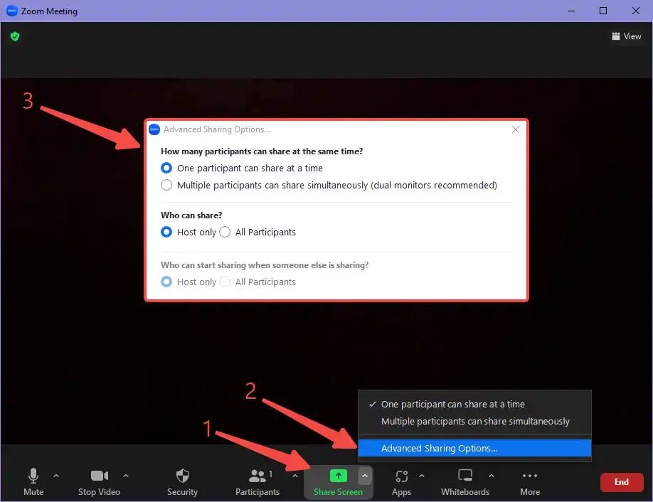 set who can share the screen in Zoom meeting