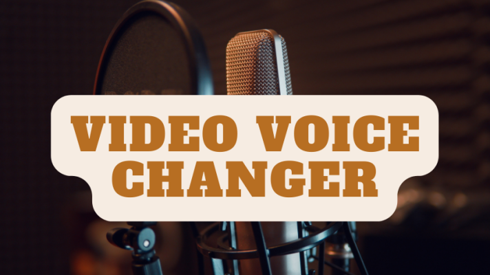 5 Best Video Voice Changers Online and Desktop (2023)