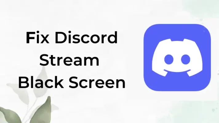 10 Solutions to Fix Discord Stream Showing Black Screen