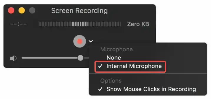 choose internal microphone