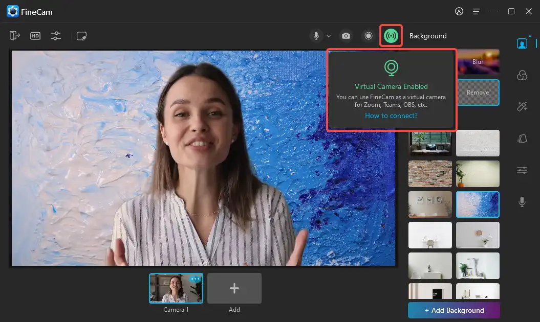 Fabrikant steekpenningen Vaderlijk 3 Ways to Quickly Remove Webcam Background without Green Screen