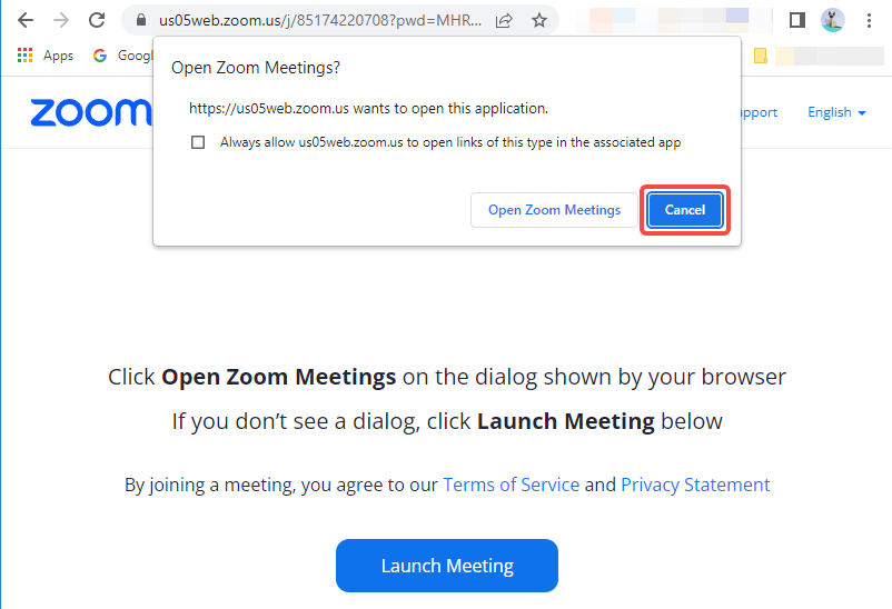 Zoom pop-up window