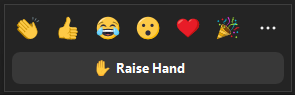 the raise hand feature
