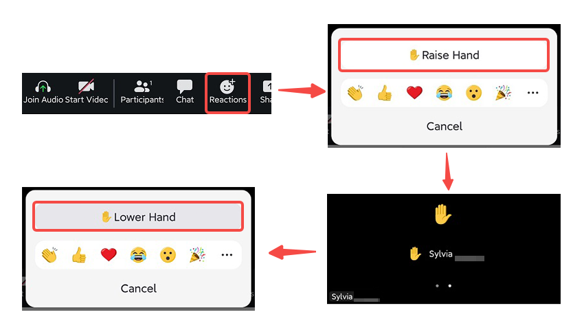 How to Raise Hand in Zoom on Phone