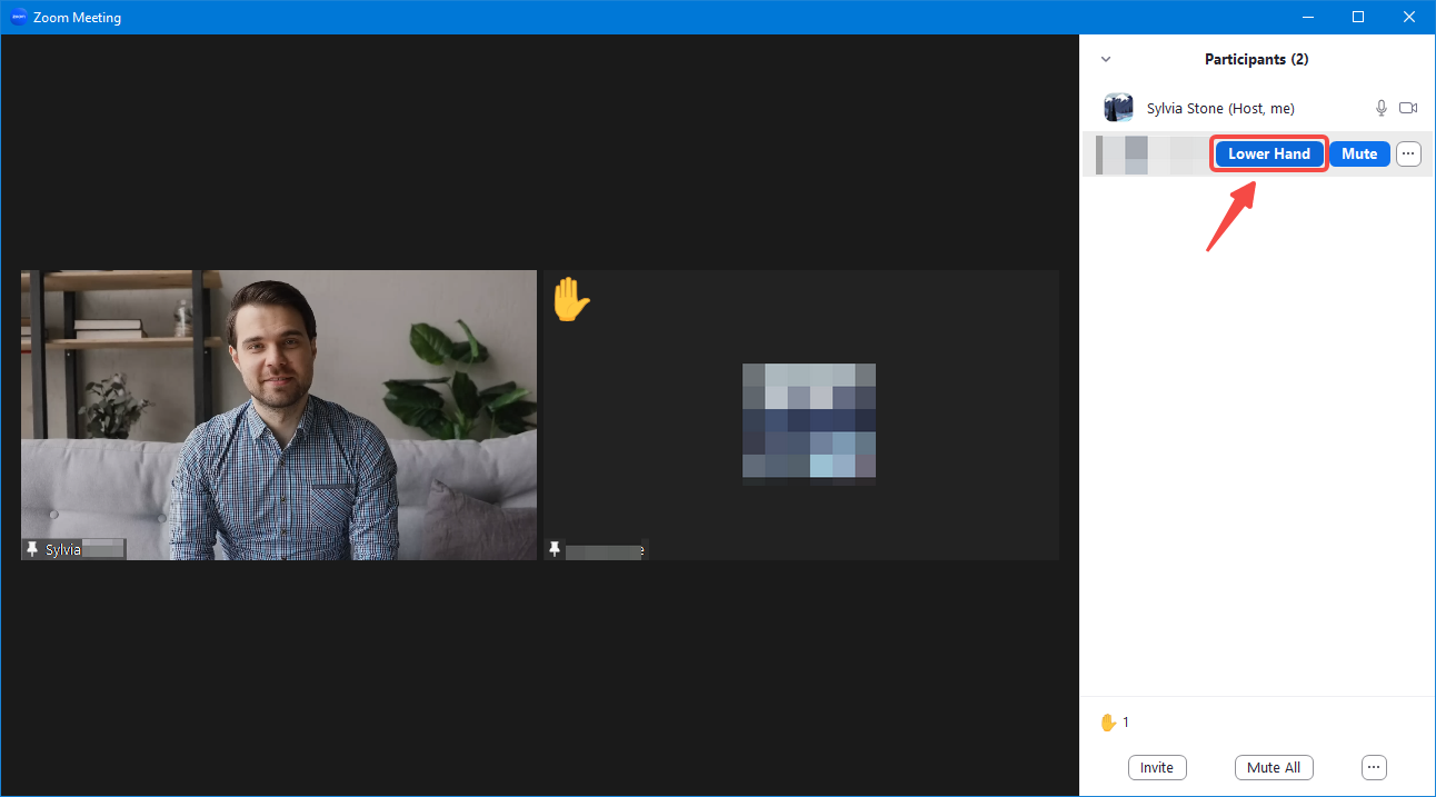 how to lower hand in Zoom