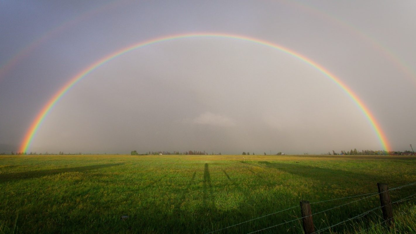 Rainbow