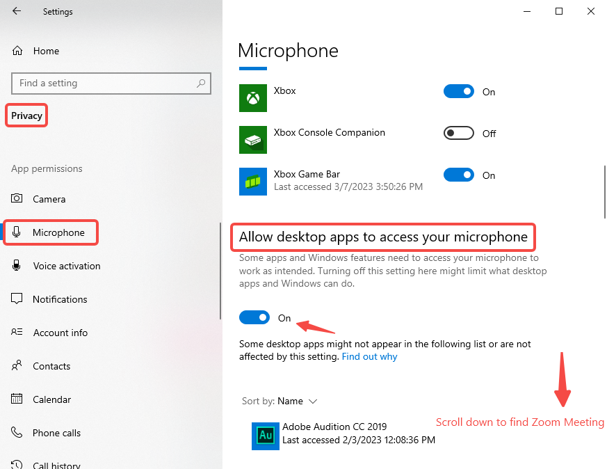 Allow Zoom Meetings to access your microphone in privacy settings