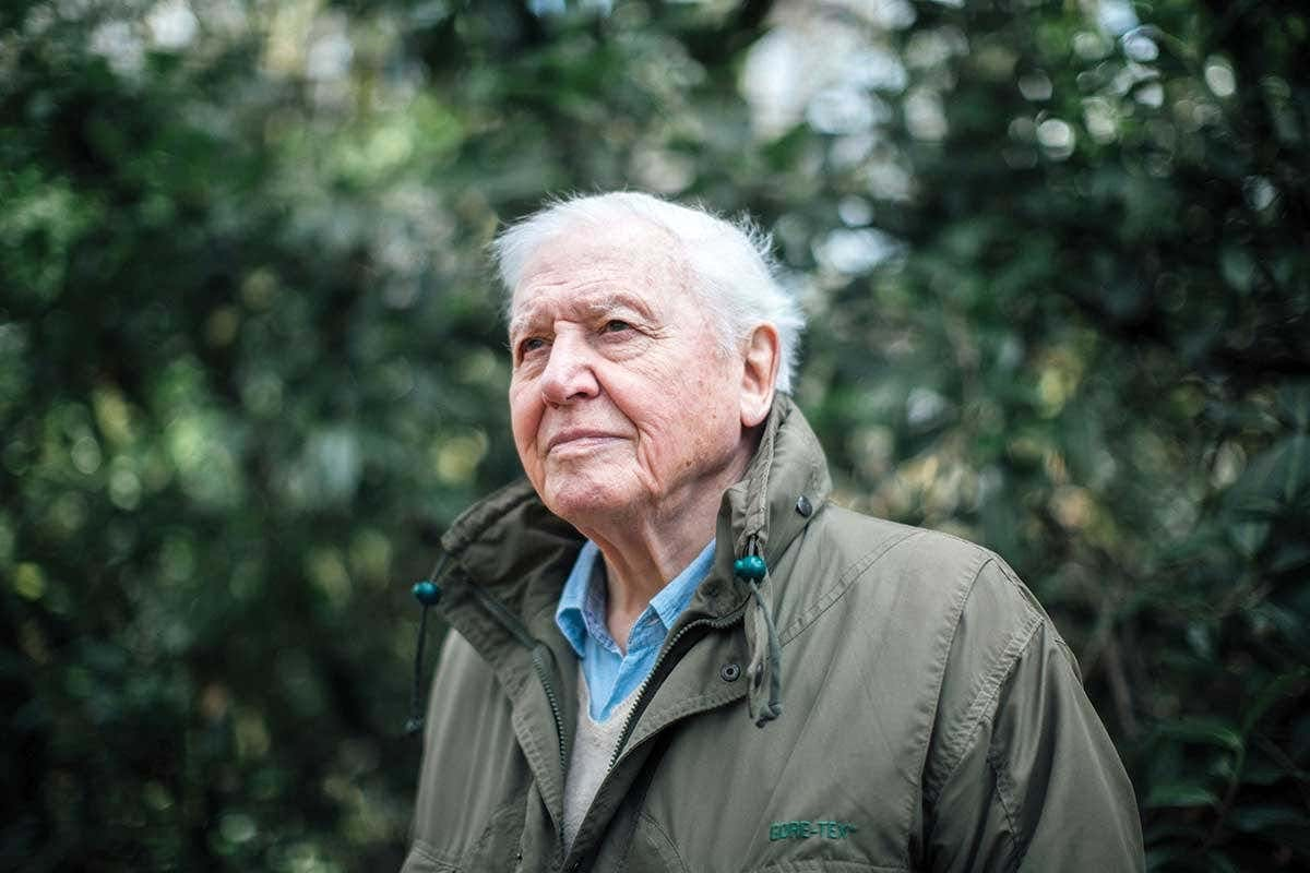 David Attenborough