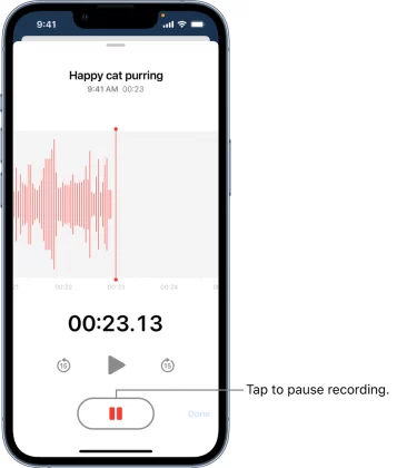 iOS Voice Memos