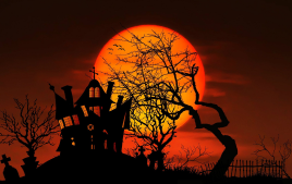 16 Halloween Zoom Background Free Downloads - 2022 Hand-Picked